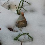 Gartenzwerg im Schnee